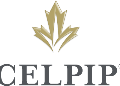CELPIP Course One on One